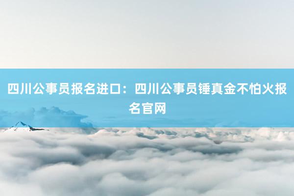 四川公事员报名进口：四川公事员锤真金不怕火报名官网
