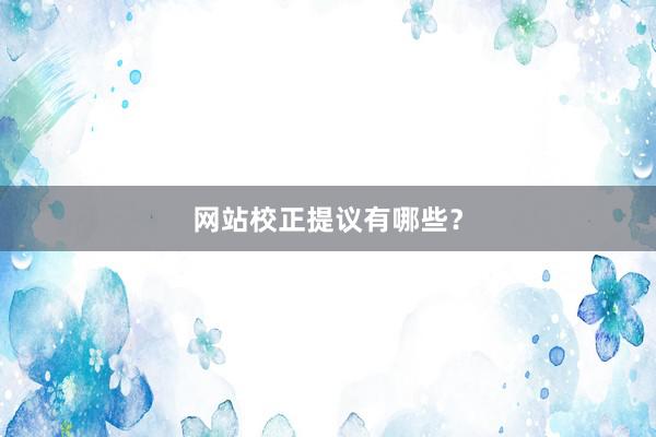 网站校正提议有哪些？