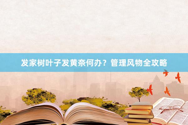 发家树叶子发黄奈何办？管理风物全攻略