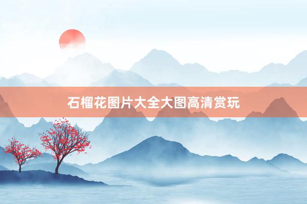 石榴花图片大全大图高清赏玩